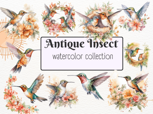 Download Watercolor Cute Hummingbird Clipart - Cute Collection